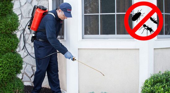 Ezine Tahtakurusu İlaçlama böcek ilaçlama ve haşere kontrolü — ilaclama-tr.com